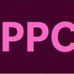 ppc services in nyc icon