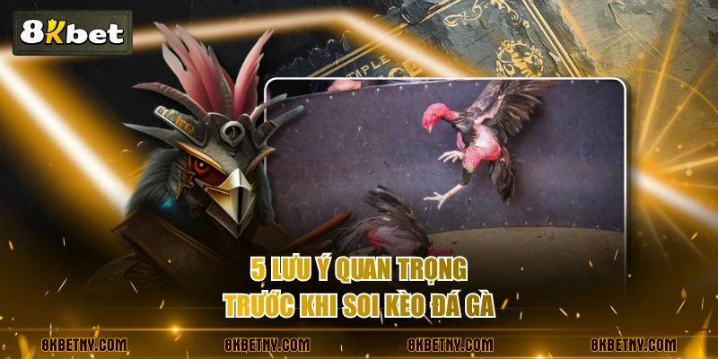 Hướng Dẫn Soi Kèo Đá Gà Chuẩn Xác Từng Bước Cho Kê Thủ 4 5 lưu ý quan trọng trước khi soi kèo đá gà