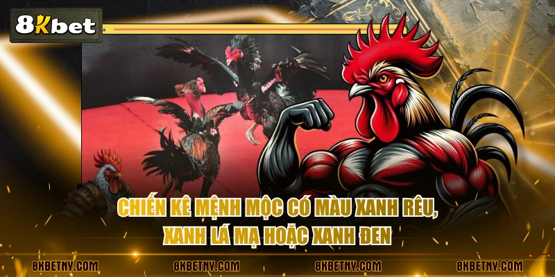 Chiến kê mệnh Mộc có màu xanh rêu, xanh lá mạ hoặc xanh đen