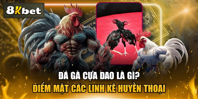 Đá Gà Cựa Dao Là Gì? Điểm Mặt Các Linh Kê Huyền Thoại 1 Đá Gà Cựa Dao Là Gì? Điểm Mặt Các Linh Kê Huyền Thoại
