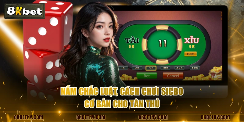 Cách Chơi Sicbo Chi Tiết, Dễ Hiểu Nhất Dành Cho Người Mới 3 Nắm chắc luật, cách chơi Sicbo cơ bản cho tân thủ